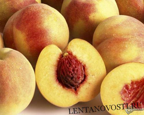 Россельхознадзор обеспокоен ростом поставок марокканских персиков и нектаринов