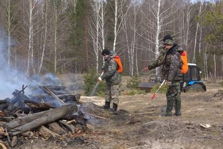Пятый класс пожароопасности торфяников ожидается в&nbsp;Нижегородской области 19—21 июня