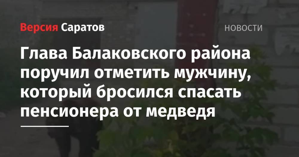 Глава Балаковского района поручил отметить мужчину, который бросился спасать пенсионера от медведя