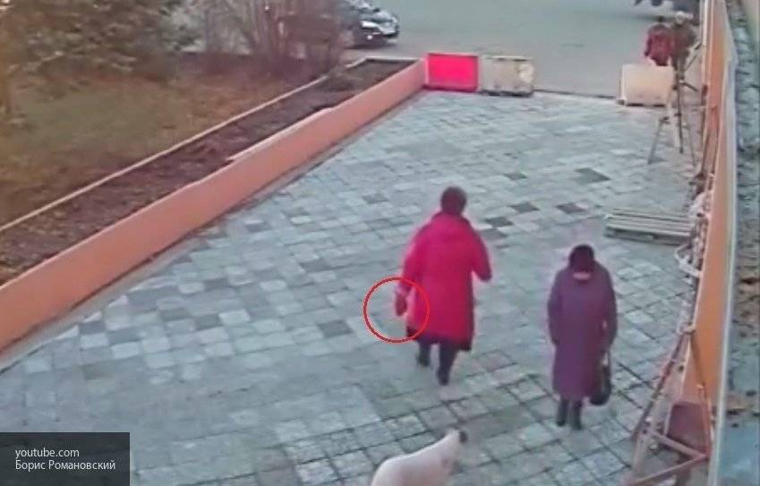Две женщины с кирпичом пытались ограбить магазин в Москве