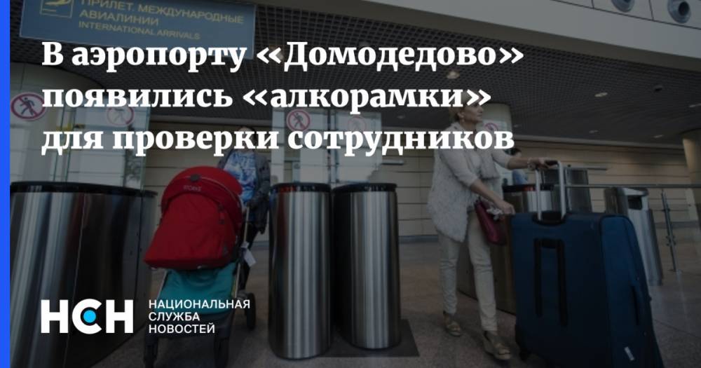 В аэропорту «Домодедово» появились «алкорамки» для проверки сотрудников