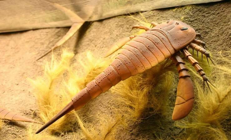 В Беларуси обнаружили ракоскорпиона, которому 350 млн лет