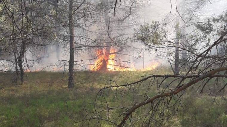На польском полигоне, где проходят учения НАТО, горит лес
