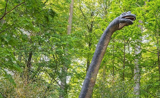 В Китае найдены следы динозавров возрастом 100 млн лет