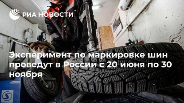 Эксперимент по маркировке шин проведут в России с 20 июня по 30 ноября