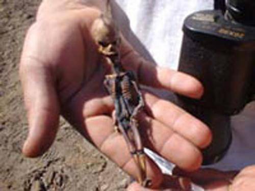 Захватчики-недомерки: Найден труп 10-сантиметрового пришельца с Нибиру