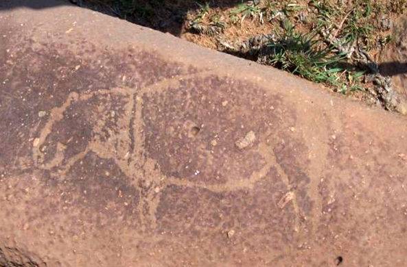 В ЮАР нашли наскальные рисунки возрастом 8000 лет / Моя Планета