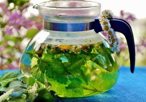 Травяной чай поможет быстро и безболезненно сбросить вес