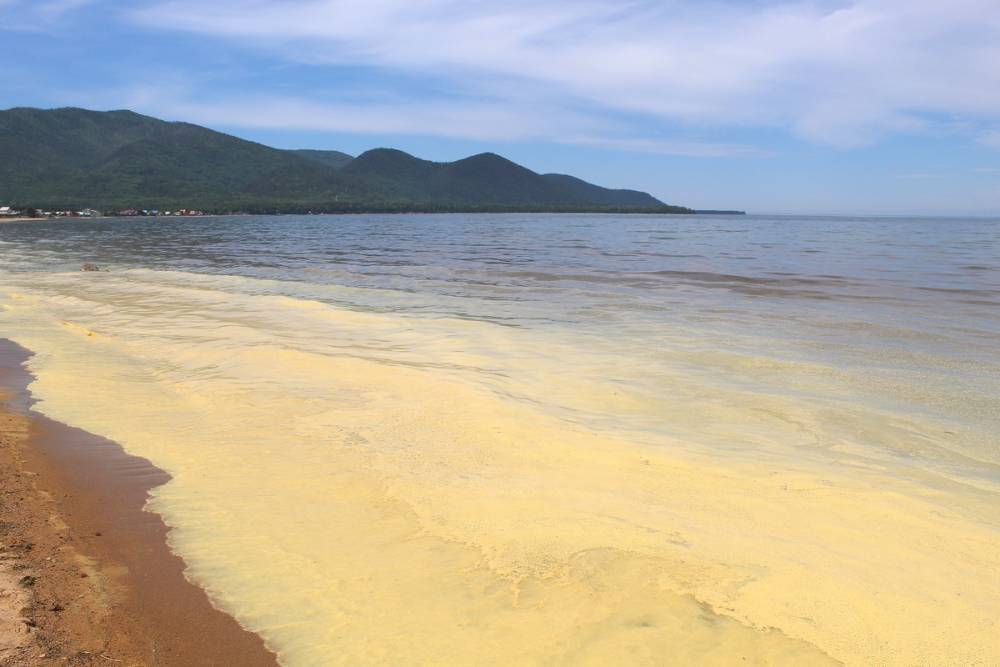 Вода желтого цвета напугала отдыхающих на Байкале