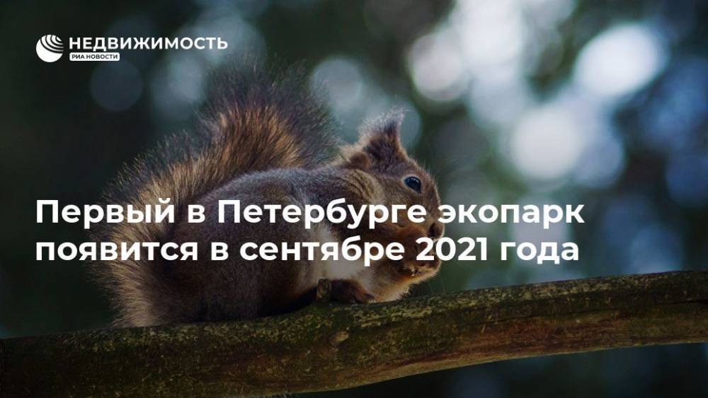 Первый в Петербурге экопарк появится в сентябре 2021 года