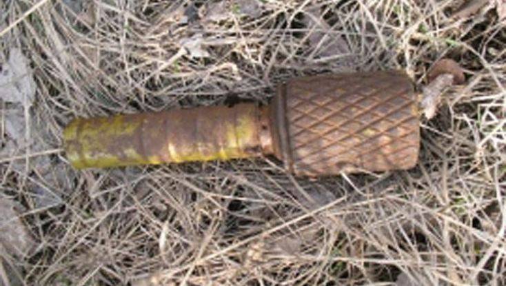 Под Жуковкой в озере обнаружили два снаряда и гранату