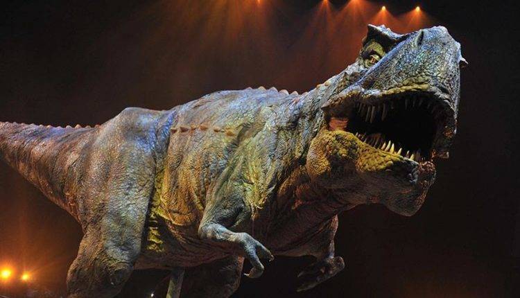 Следы динозавра возрастом 100 млн лет обнаружены в Китае