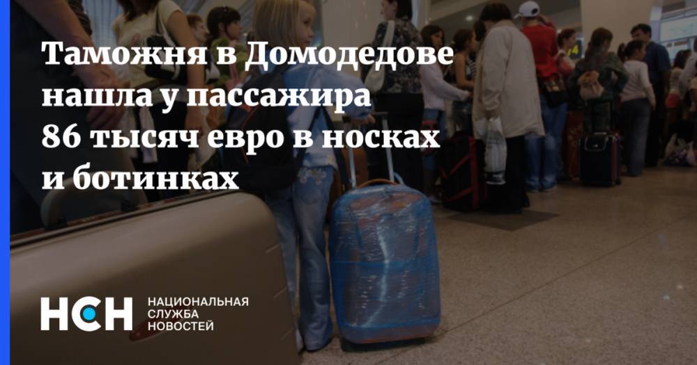 Таможня в Домодедове нашла у пассажира 86 тысяч евро в носках и ботинках