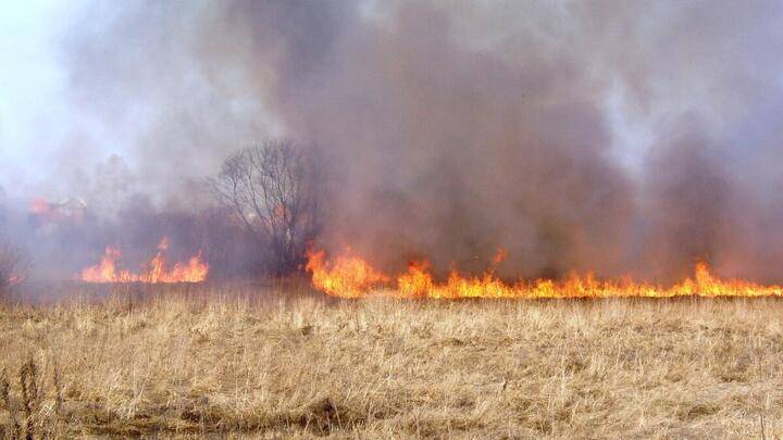 Минэкономразвития РФ предложило изымать земельные участки за систематическое несоблюдение требований пожарной безопасности