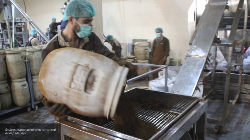 Переживший войну завод чая и кофе в Сирии расширяет штат