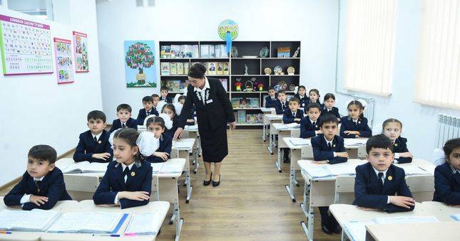 Гумерова: большинство российских педагогов захотели остаться в Таджикистане
