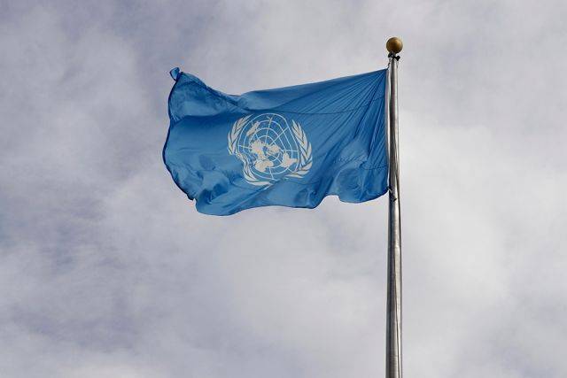 СПЧ просит верховного комиссара ООН по правам человека поддержать Осипову