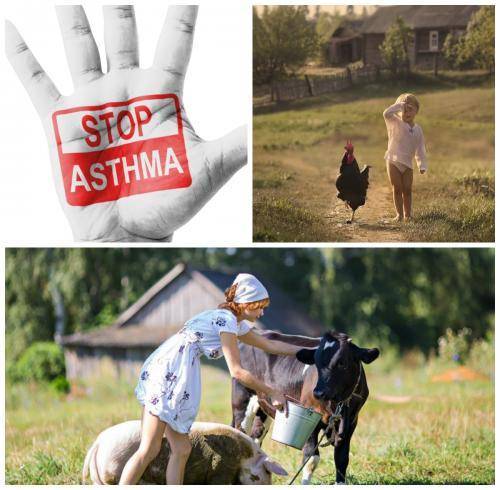 На каникулы — в деревню: Сельская микрофлора снизит риск развития астмы у детей