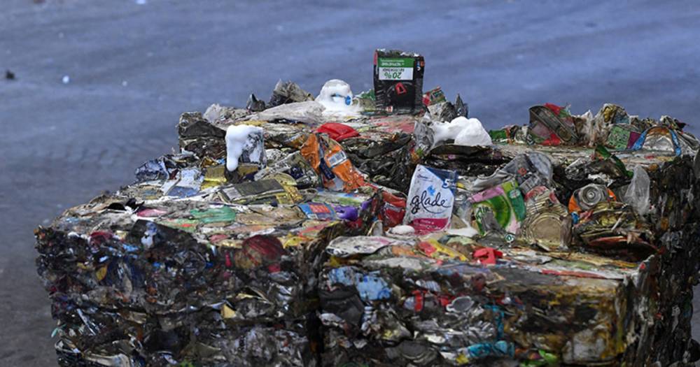 Москва определила срок перехода на раздельный сбор мусора