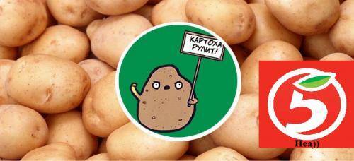 Травят людей, ироды: Клиент пожаловался на «Пятерочку» за ядовитый картофель