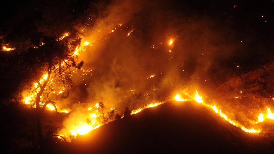 Компания-виновница самого крупного пожара в Калифорнии выплатит $1 млрд