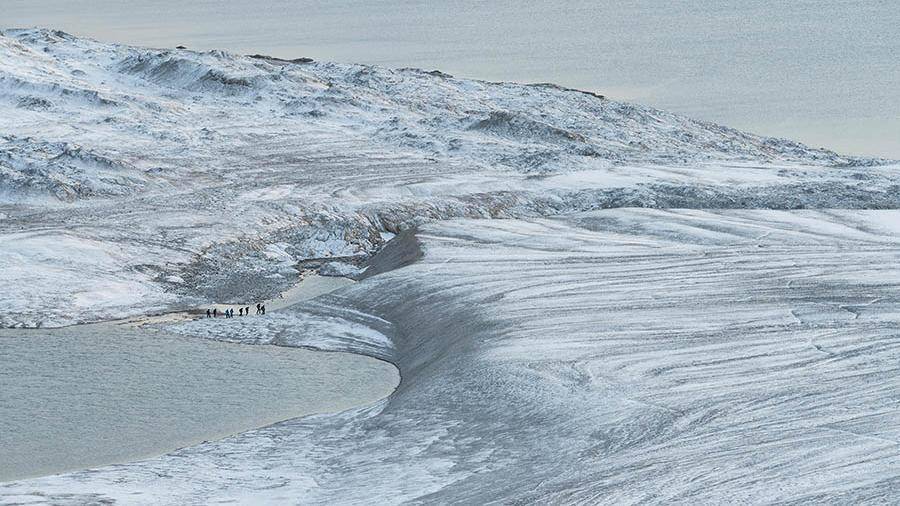 Найдены останки живших в Арктике 1,5 млн лет назад гиен
