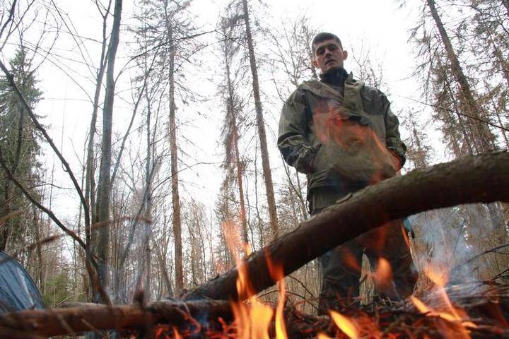 Россиян начнут штрафовать за прогулки по лесам во время ЧС из-за пожаров