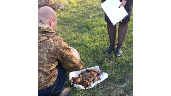 В Карачевском районе поймали трех браконьеров из Орловской области