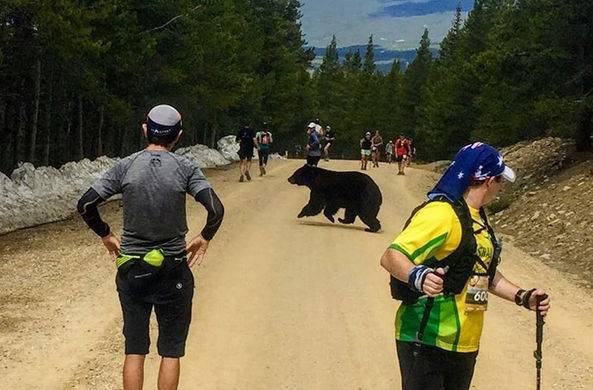 Медведь присоединился к марафону и «ускорил» его участников / Моя Планета