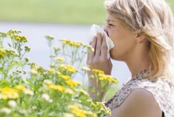 Медики рассказали, каким должен быть идеальный сад для аллергиков