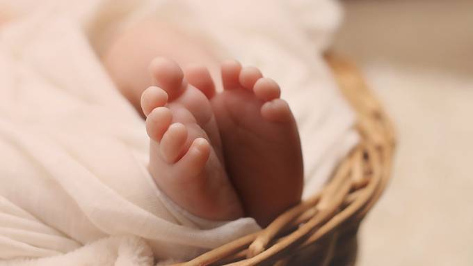 В Колпино&nbsp;местный житель обнаружил в&nbsp;кустах&nbsp;новорожденную девочку