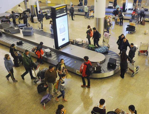 Аэропорт Шереметьево объяснил задержку с выдачей багажа ряда рейсов - vm.ru - Москва