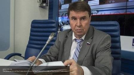 В Совфеде отреагировали на заявление Климкина о давлении на РФ