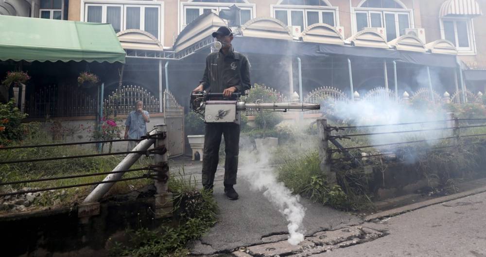 Роспотребнадзор предупредил о вспышке лихорадки Денге в Таиланде