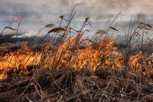 Под Астраханью из-за сильного пожара сухостоя загорелся дачный массив