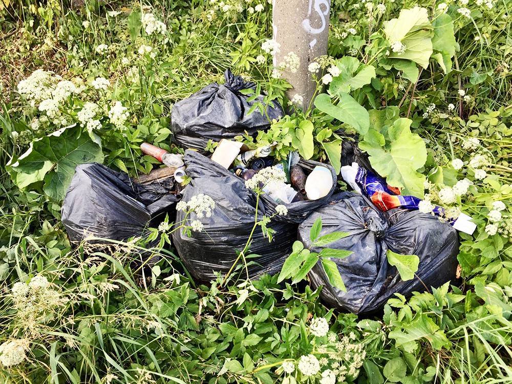 Шингаркин: Введение раздельного сбора мусора в Москве - это победа