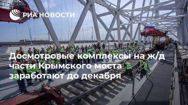 Досмотровые комплексы на ж/д части Крымского моста заработают до декабря