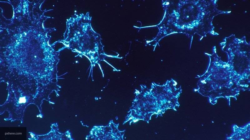 Ученые создали устройство очищения крови от раковых клеток