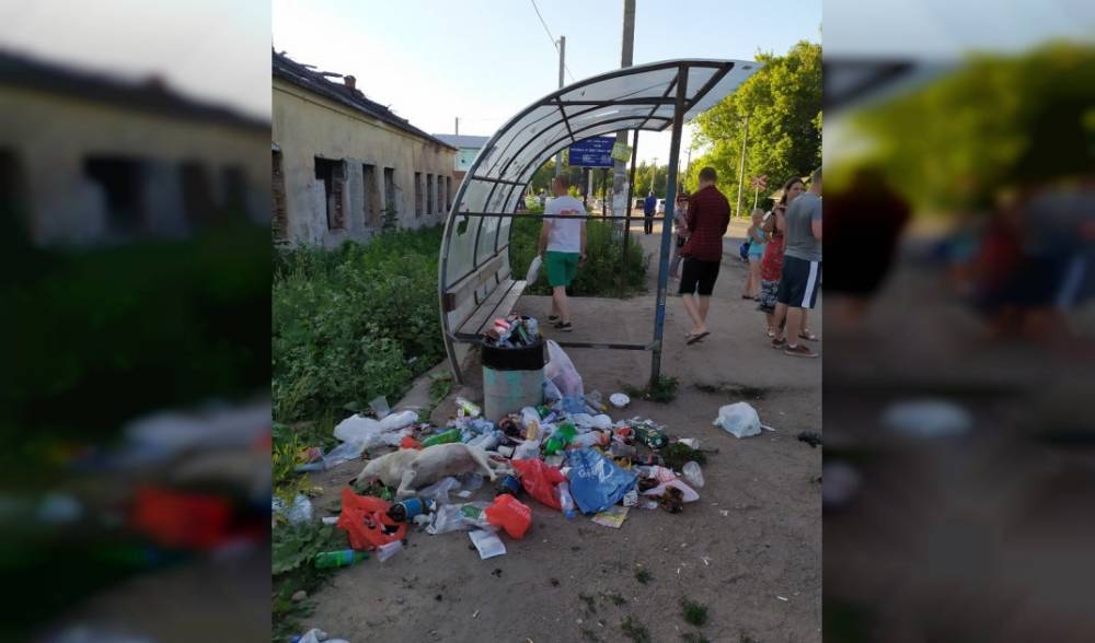 В Смоленске на остановке Красный Бор в мусоре нашли мертвую собаку