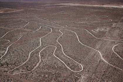 Раскрыта тайна гигантских рисунков в пустыне Наска