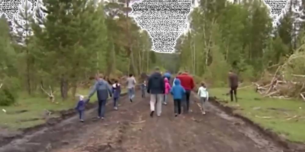 Многодетным семьям в Иркутске выдали участки на болоте и теперь грозят им штрафом в 150 тысяч