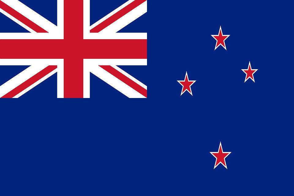 Новая Зеландия скупает оружие у населения