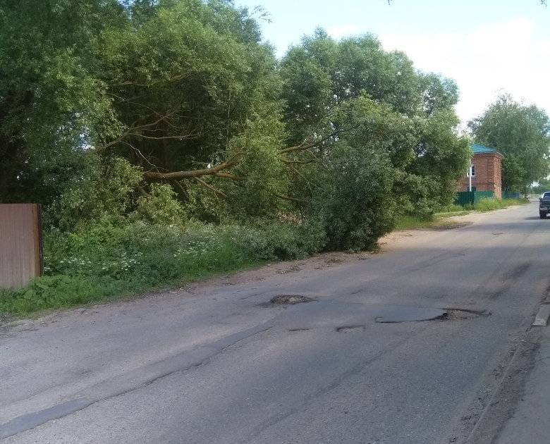 Жители Смоленской области жалуются на поваленные деревья и оборванные провода