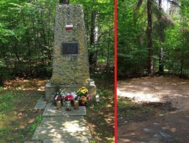 Институт национальной памяти Польши достоин гитлеровского знака «За борьбу с партизанами»
