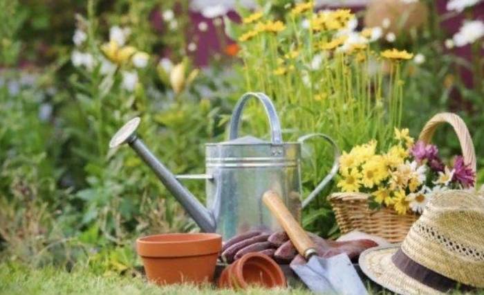 Названы 10 ключевых преимуществ садоводства для психического здоровья
