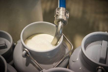 В&nbsp;Нижегородской области произвели 264,5 тысячи тонн молока с&nbsp;начала года