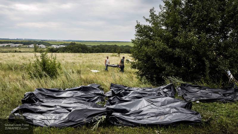 Расследование по MH17 утонет в политизированном болоте, считает Баранец