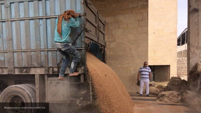 Дамаск помогает фермерам в Сирии восстановить хозяйство