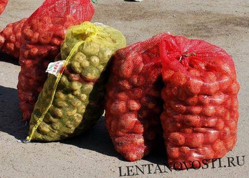 В Восточном Казахстане бесплатно раздавали картофель из стабфонда