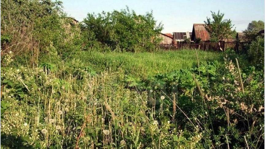 Россияне могут лишиться своих земельных участков из-за нескошенной травы и мусора